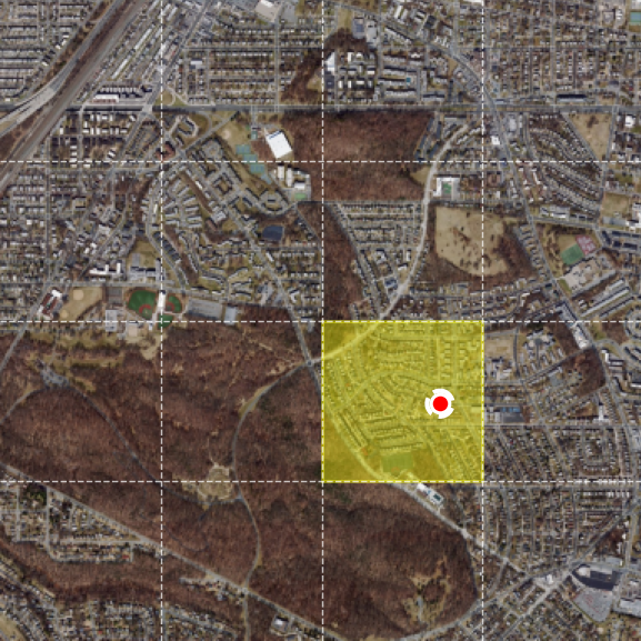 Selected satellite region at zoom level 2