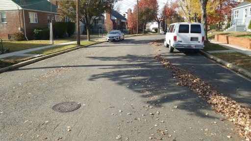 Street-view query image used for cross-view geo-localization
